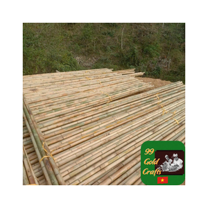 Estacas de bambú duraderas respetuosas con el medio ambiente Tubo de postes de bambú para frijoles de tomate Soporte en maceta Soportes fuertes de bambú para jardinería - Product Image 5