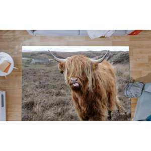 Alfombra de ganado de las Tierras Altas escocesas: decoración antideslizante para cocina/baño, alfombra fina no tejida - Product Image 3