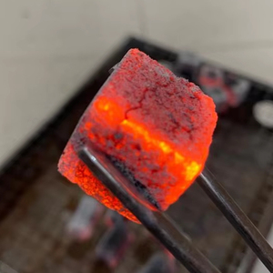 CHARBON DE COQUILLE DE NOIX DE COCO 100% CHARBON DE BOIS NATUREL FABRIQUÉ AU VIETNAM PAR BIWOOD COMPANY, SANS DANGER POUR LA SANTÉ, NON TOXIQUE - Product Image 1