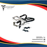 Outils dentaires professionnels de haute qualité pour chevaux, en acier inoxydable allemand, ensemble de 4 pièces, poignées ergonomiques, flotteurs dentaires, usage vétérinaire, diagnostic