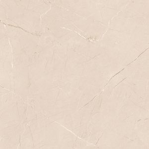 Azulejos de Porcelana Duraderos y Elegantes de la India, 600x600 mm, Proveedor de Productos de Azulejos de Confianza a Nivel Mundial, Azulejos de Buena Calidad en Todo el Mundo - Product Image 5