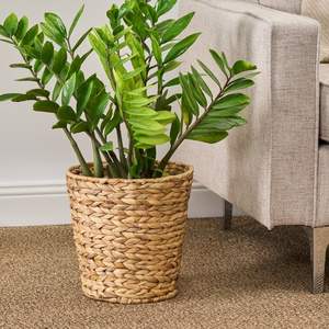 Pot de plante en jacinthe d'eau durable pour la décoration de la maison, du jardin, du bureau, jardinières d'intérieur et d'extérieur, design élégant - Product Image 3