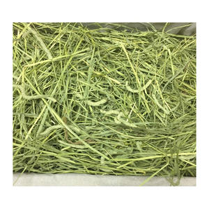 หญ้าแห้งทิโมธีหญ้าแห้งแบบอเมริกันสำหรับสัตว์เลี้ยงเลี้ยงวัวม้าวัวไก่ - Product Image 4