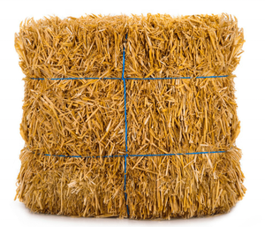 Balles de foin en paille de riz de qualité supérieure traitées thermiquement et sans parasites, prêtes à l'exportation pour l'alimentation des chevaux, des bovins et des porcs - Product Image 5