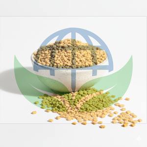 Semillas de Fenogreco Frescas de Excelente Calidad para Cocina Casera, Té de Hierbas, Remedios Naturales, HP Valia Disponible a Precio de Mayoreo - Product Image 1