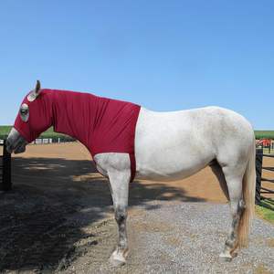 Protector de Crines de Caballo de Nailon de Alta Calidad, Capucha Elástica de Ajuste Suave, Abrigo para Brillo y Cuidado de Crines - Product Image 1