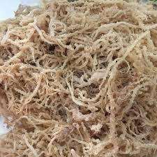 ALGUES DE COTON PUR/ÉTIQUETTE PROPRE/À BASE DE PLANTES/RÉCOLTE DE L'OCÉAN - Product Image 3