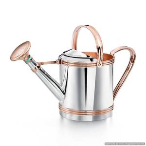 Canne d'arrosage en métal plaqué or de conception simple et simple maison jardin canne à eau décorative de petite taille pour la canne d'arrosage de fleur de jardin - Product Image 6