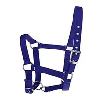 Harnais en corde de nylon PP pour cheval anglais, conçu sur mesure, confortable, de qualité supérieure, pour usage équestre, emballage personnalisé indien