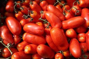 Tomates fraîches, livraison rapide, tomates de haute qualité en provenance d'Afrique du Sud, tomates fraîches de type prune et cerise rouges à vendre - Product Image 6