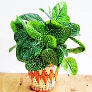 Une jardinière décorative d'herbe de lune avec un motif géométrique orange et blanc vibrant, disponible aux prix de gros. - Product Image 1