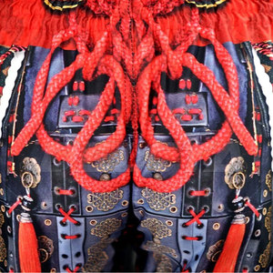 Polyester Fabric Light Weight <b>Muay</b> <b>Thai</b> <b>Shorts</b> Martial Arts Wear New Design <b>Muay</b> <b>Thai</b> <b>Shorts</b> - Product Image 6
