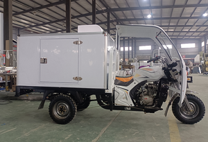 รถสามล้อเครื่องยนต์เบนซินพร้อมห้องเย็นเคลื่อนที่ ตู้แช่แข็งเคลื่อนที่ - Product Image 3