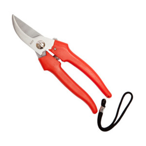 Forbici per Viti in Acciaio Inox 19 Cm - Product Image 1