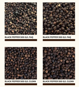 Poivre noir naturel séché populaire FAQ Standard 500-630 G/L Type de traitement brut Origine Vietnam [Sandra] - Product Image 5