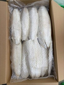 Os de seiche entier séché pur et naturel - Product Image 5