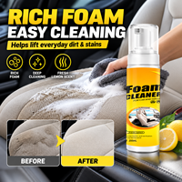 Nettoyant Moussant Anti-Taches Tenaces Marque Blanche pour la Maison, l'Automobile, les Sièges en Cuir et les Chaussures
