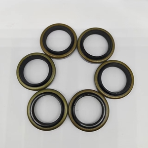 La fábrica proporciona sellos de aceite de limpiaparabrisas de cilindro DKB,DKI,DKBI y DKH tipo sellos de aceite a prueba de polvo de larga duración - Product Image 1