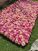 Tapis floral rose pour allée royale de mariage, toile de fond murale pour événement d'anniversaire, panneaux de scène de réception, décoration de mariage en destination