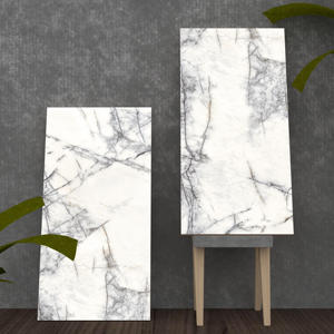 Beau modèle céramique et porcelaine 600X1200mm de conception européenne fabriquant en Inde pour la salle de conférence. - Product Image 1