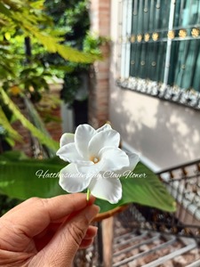 White <b>Artificial</b> Plumeria Flowers Clay Floral Decorative <b>Bouquet</b> for Wedding Home Wedding Table Decor - Product Image 2