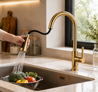 Robinet de cuisine de luxe en laiton massif, finition or brossé, monocommande, douchette haute à double mode, montage sur comptoir, pour hôtels et restaurants