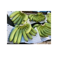 Bananas Verdes Cavendish Frescas de Alta Calidad, las Más Vendidas, en Cajas de Cartón de 4-5-6 Racimos, Directamente del Exportador de Vietnam