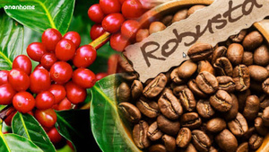 โรบัสต้าคั่วบดเมล็ดกาแฟคั่วบรรจุภัณฑ์หรูหรา-18แบรนด์ mariocoffee จากเวียดนาม1กก./ถุง - Product Image 3