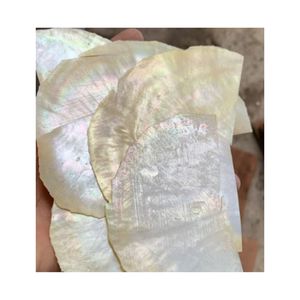 Pinano Incrustation Nacre Artisanat Forme Coupe Et Poli Feuille De Coquille D'ormeau Fragment De Coquille Pour Accessoire D'art Prix Usine - Product Image 3