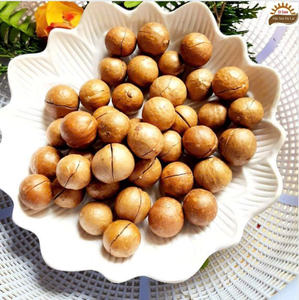 Noix de macadamia entières grillées et salées OEM / ODM de l'usine du Vietnam - Product Image 5