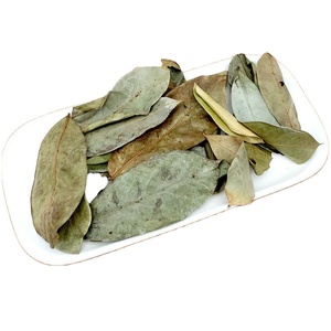 MEJOR PRECIO Y BUEN PRODUCTO HOJAS DE URENSA SECAS/HOJAS DE GRAVIOLA - Product Image 1