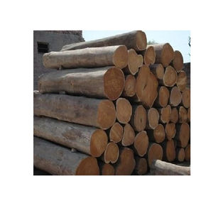 Troncos de Pino a Granel, Calidad A/B/C, para Compradores Internacionales que Buscan Materia Prima de Madera Blanda para la Construcción - Product Image 2