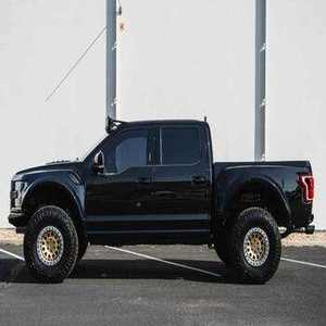 Camioneta Todoterreno 4x4 de Alto Rendimiento 2020 - Product Image 2