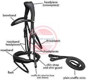 Équipement d'équitation Bride de course de chevaux équestre Bride équestre à cheval la plus vendue - Product Image 2