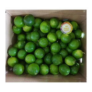 Lima fresca de Vietnam, limas verdes de primera calidad para bebidas de cocina de jugo y exportación de suministro global de granjas de Vietnam - Product Image 6