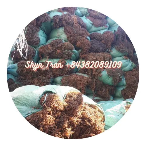 Grosir Rumput Laut Sargassum Kering Asli dari Vietnam OEM Roasted Rumput Laut Harga Terbaik-Bubuk Sargassum/Shyn Tran + 84382089109