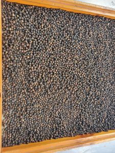 Produits vietnamiens d'exportation de qualité, épices et herbes les plus vendus, poivre noir du fabricant en vrac Offre Spéciale - Product Image 5