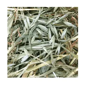 Factory Supply Bulk Wholesale Price Top Quality Oat Hay / Alfalfa Hay (Animal Feed) Available For Sale