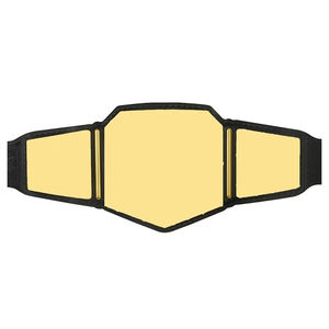 Championship <b>Belts</b> World Tag Team Championship Wrestling <b>Belts</b> for Sale Genuine Leather <b>Gold</b> Plates <b>Belt</b> Breathable With OEM - Product Image 1