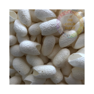 Capullos de seda cruda de Vietnam: alta calidad, precios bajos - Product Image 6