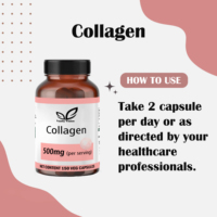 Vanity Vision Collagen 500mg Capsules de soutien immunitaire à base de plantes - Sans produits laitiers pour hommes et femmes