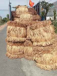 ผักตบชวาแห้งน้ำลอยผักตบชวา (Eichhornia crassipes) เส้นใยสีน้ำตาลธรรมชาติความหนา6มม. ความยาว40-60ซม. - Product Image 6