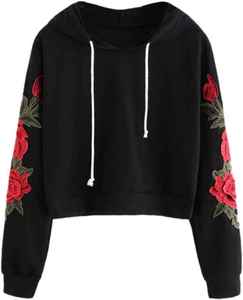 2025 automne hiver grande taille décontracté polaire doublé pull à capuche XS haut court sweat avant Logo Streetwear Style pour les femmes - Product Image 1