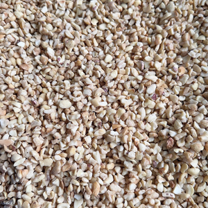 Noix de Cajou SANTIGO à Prix Raisonnable, Noyaux de Noix de Cajou en Gros, Exportés vers le Moyen-Orient - Product Image 1