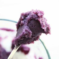 Solution de pâte de patate douce aux couleurs vibrantes pour les marques de desserts et les importateurs mondiaux