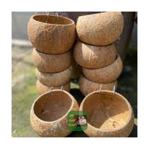 COQUES DE NOIX DE COCO SÉCHÉES DU VIETNAM POUR L'INDUSTRIE DE LA DÉCORATION ARTISANALE ET DU CHARBON FOURNIS PAR 99 DONNÉES D'OR - Product Image 5