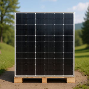 Panneau solaire monocristallin Wensheng New Energy Sunwin SP605M-78H, certifié TUV, avec couvercle avant en verre, emballage sur palette - Product Image 3