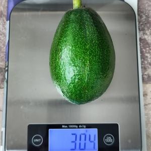 Aguacates Hass Frescos Premium |   Calibre 12/14/16/18/20/22 |   Cargas de Contenedores a Granel |   FOB/CIF - Product Image 1