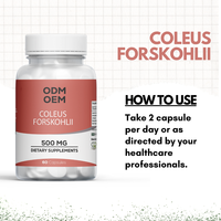 ODM OEM Ekstrak Akar Coleus Forskohlii 60 Kapsul Herbal Murni Premium untuk Manajemen Berat Badan Dewasa Forskolin Tidak untuk Ibu Hamil