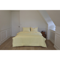 Ensemble de couette sans poussière, microfibre douce au toucher, literie coréenne pour hôtel, toutes saisons, couette lavée à l'air, antidérapante, 9OZ Q 150x200cm